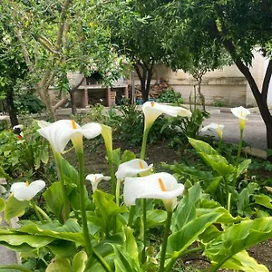 https://federicos-vila.lecce-hotels.com